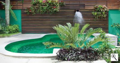 Manutenção de piscina e jardim.