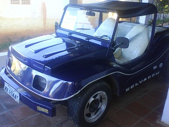 Buggy Selvagem 1985 R$9,900.-