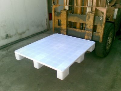 Palete de Plastico