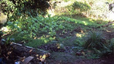 CHACARA A VENDA EM JUQUITIBA PARA MORADIA COD 154