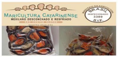 CAMARÕES, LAGOSTAS e MEXILHÕES.