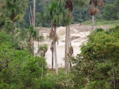  Área com 54 hectares, ótimo para empreendimentos.