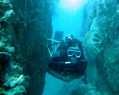 JÁ MERGULHOU COM ECOBUZOS?