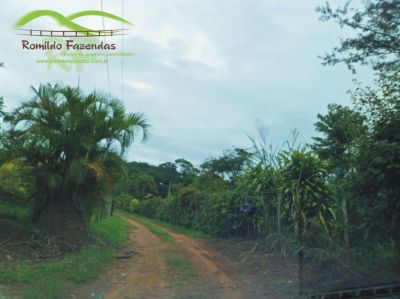 oportunidade chácara pescaria na margem do rio Paraopeba