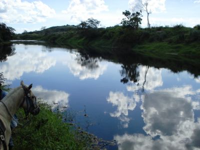 FAZENDA PARA PECUARIA A VENDA - 427 hectares - Aurelino Leal - Bahia.