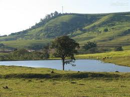CRÉDITO IMÓVEL RURAL É MAIS BARATO PELO CONSÓRCIO.