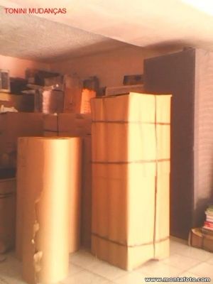 TRANSPORTADORA TONINI MUDANCAS E GUARDA-MÓVEIS
