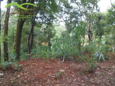 oportunidade chácara pescaria na margem do rio Paraopeba