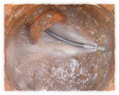 Desentupidora e Dedetizadora