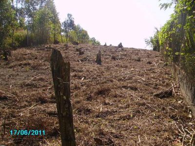 CHÁCARA C/ 2.400 M²- SÃO LOURENÇO DA SERRA - SP - - COD: 451 - F: (11) 4686-1562 - CEL: (11) 7302-92