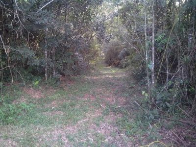 Chacara com treze alqueires ótima para reflorestamento.