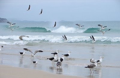 Pousada Zulma Cabral para 4 pessoas diária 150,00