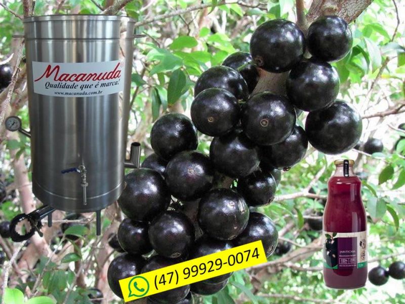 Marca Macanuda, Extratora de suco de jabuticaba
