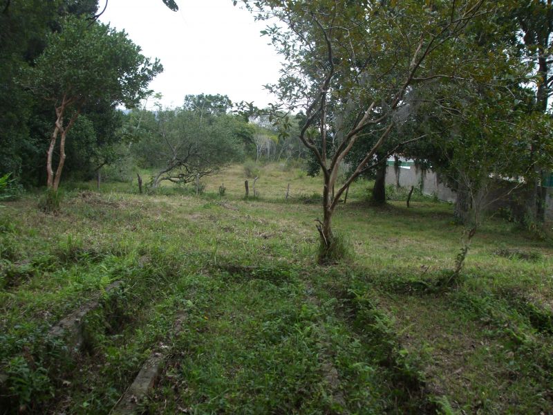 Linda área na SC 401