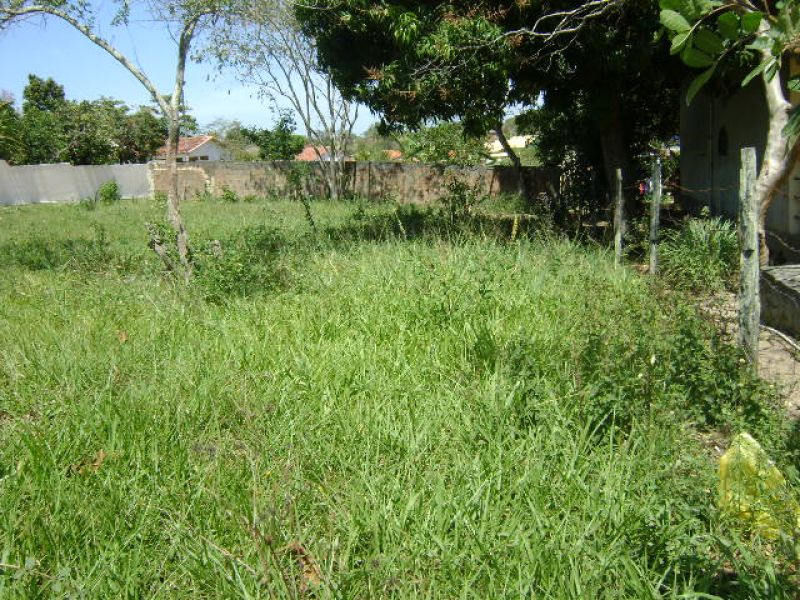 ARARUAMA –JAPÃO –TERRENO PLANO Á 100 M DO ASFALTO.