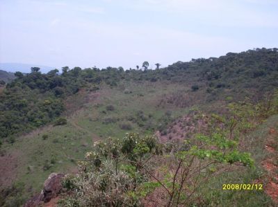 Vendo/troco fazenda e terreno em Itambé do Mato Dentro -Particular