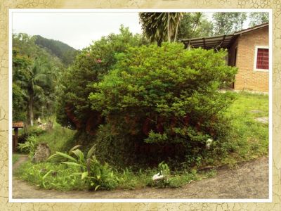 Linda chácara a venda em Juquitiba com churrasqueira apenas 65mil