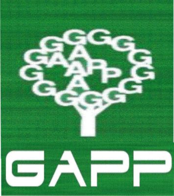 CURSO GAPP- Português e Redação para concursos Turmas de 10 alunos 