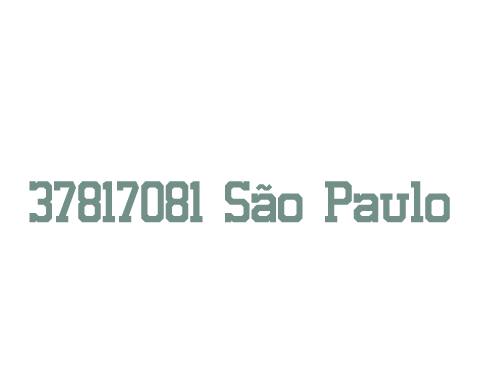 Sogro faz tudo de eletricista em São Paulo