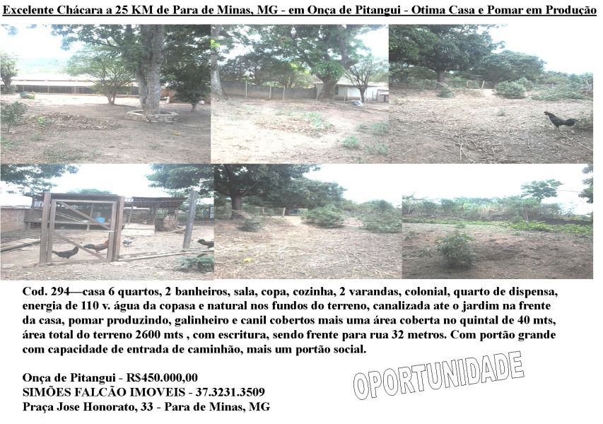 Chacara 2600 mts, casa 6 dormitorios, pomar produzindo 