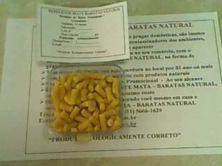  HIGIENE DOMÉSTICA NO LAR - PRAGAS DOMÉSTICAS - BARATAS 