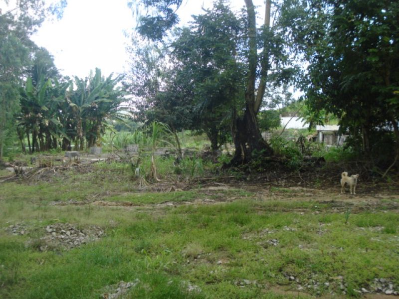 Área para seu projeto empresarial