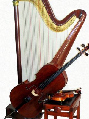 Musicos para Casamentos RJ Violinos Harpa