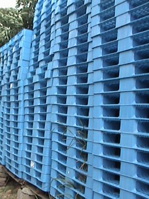 Pallets de Plástico