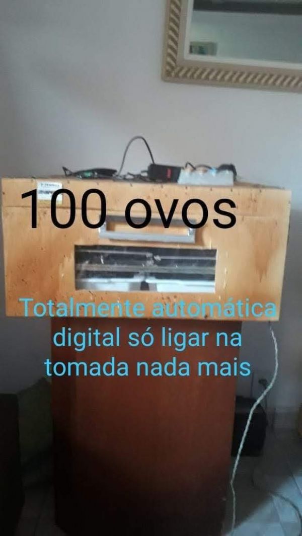 Chocadeira 100 ovos automática digital 