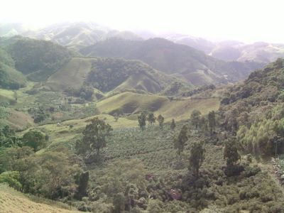 Vendemos Ótimo Terreno com em Vargem Alta com 6 nascentes de água doce.