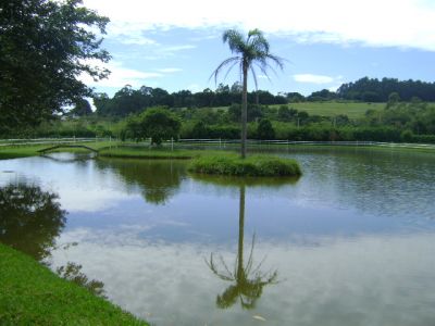 Sítio em Bragança Paulista 50.000m² R$ 450 mil set.11