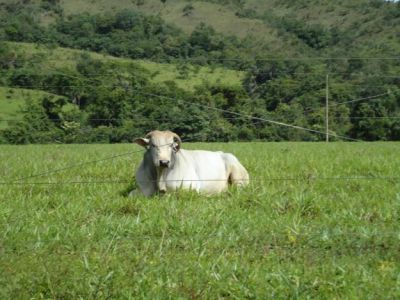 sitios, chacaras e fazendas.