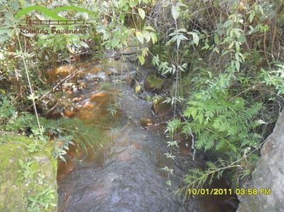 Fazenda em Entre Rios de Minas OPORTUNIDADE