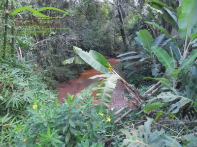 chácara c/ água corrente no meio Igarapé itatiaiuçu