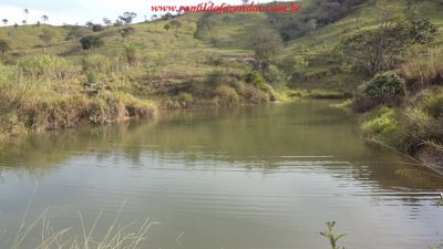 FAZENDA EM CLAUDIO 107 HA. LINDA ACEITA 50 % IMOVEIS