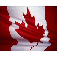 TRADUÇÕES. - LIVROS, ARTIGOS, MANUAIS, ABSTRACT...