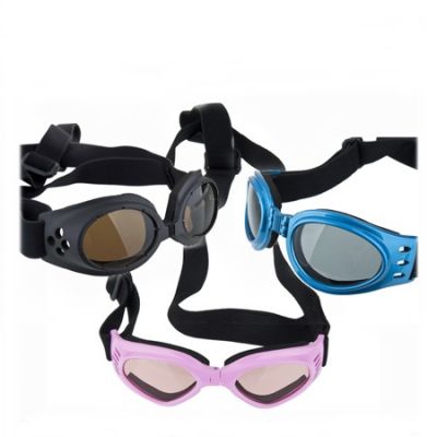 Dog RayBan Proteção UV  