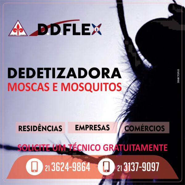 Dedetização de moscas 