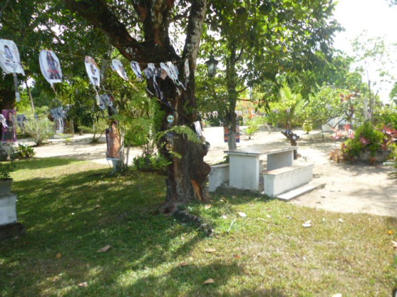 Granja Coração de Jesus em Goiana/PE p/ investidor inteligente