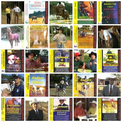 cavalos, treinamento, video cursos em dvd, (horse)