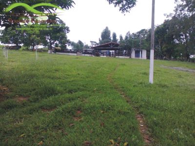 Fazenda curvelo com 145 ha