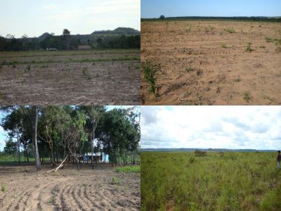 Fazenda a venda, 1.000 hectares em Balsas - MA na Serra do Penitente