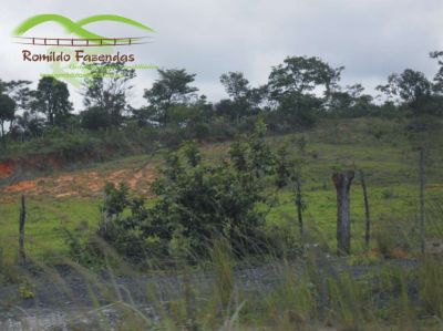 AREA INDUSTRIAL COM 820.000 M² COM 740 DE FRENTE BR 040