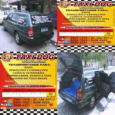 TAXI DOG MONTANHA TRANSPORTE DE ANIMAIS NO RIO DE JANEIRO