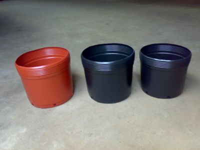 Vasos flexiveis para mudas de plantas