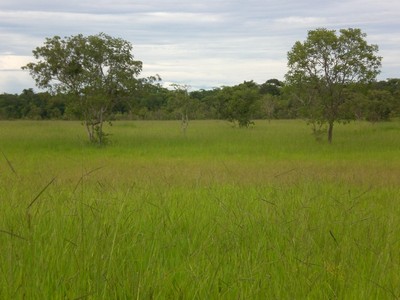 FAZENDA DE OPORTUNIDADE EM JOÃO PINHEIRO