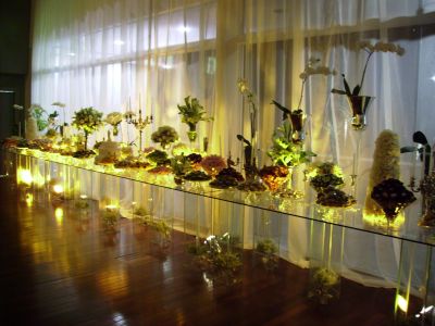 Rosa Azul Decorações