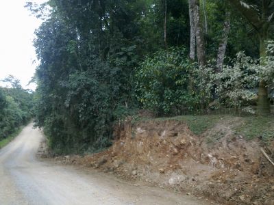 Terreno em Santo Amaro da Imperatriz