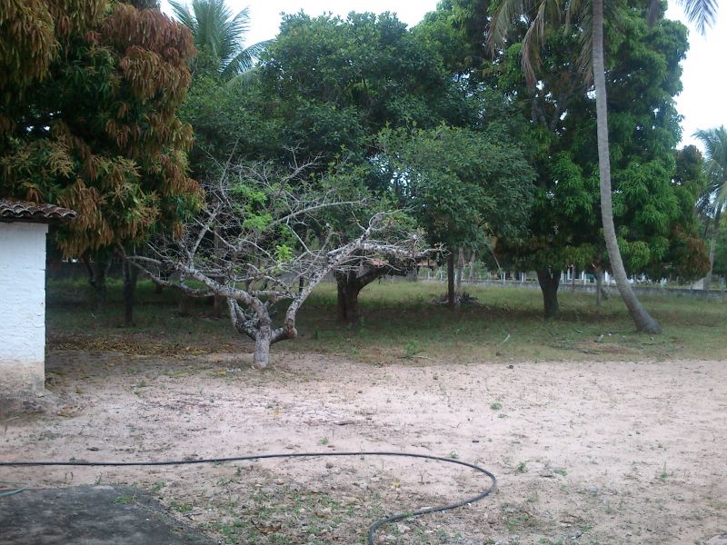 Excelente Terreno em São José de Mipibu - Cód. 398 SGI