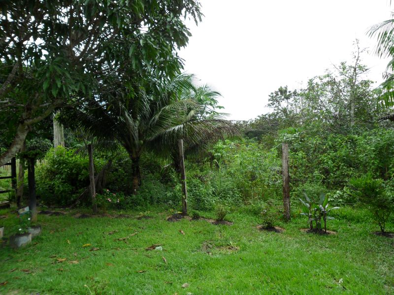 BR 174 km 2 , 250.000m²